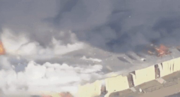 1751482436_photo.jpg