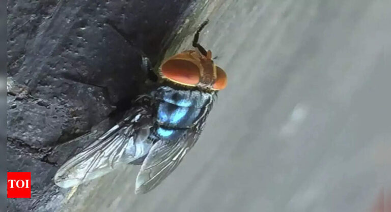 1752476675_photo.jpg