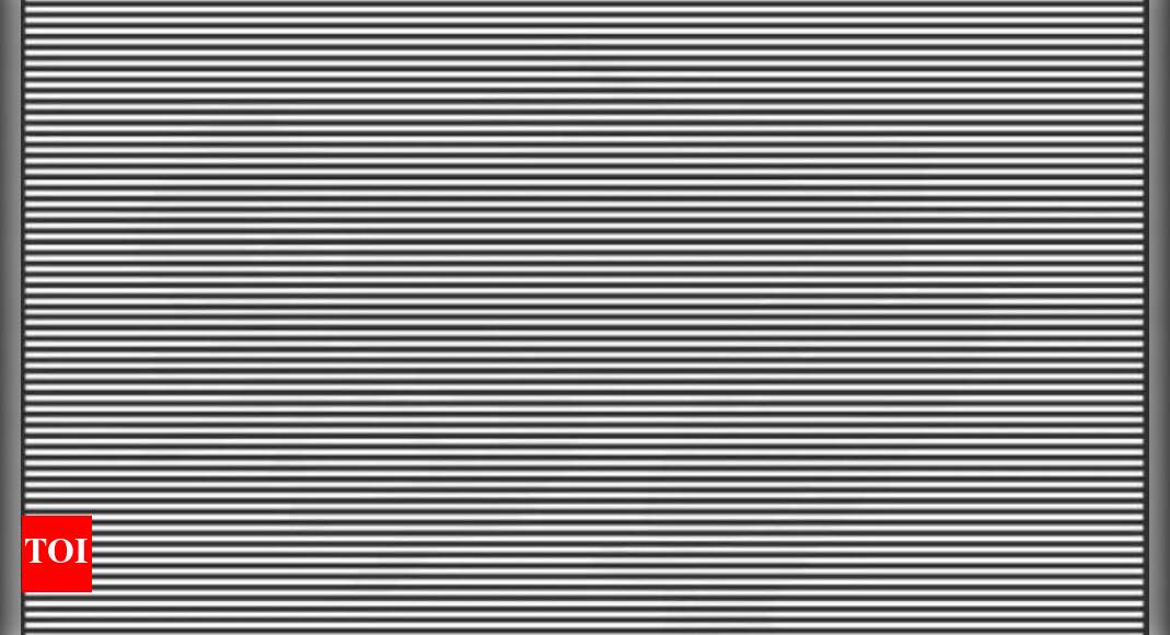 1753278278_photo.jpg