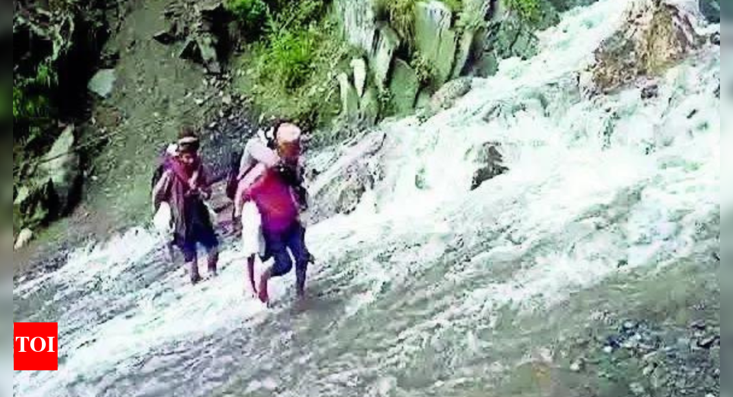 1753500328_photo.jpg