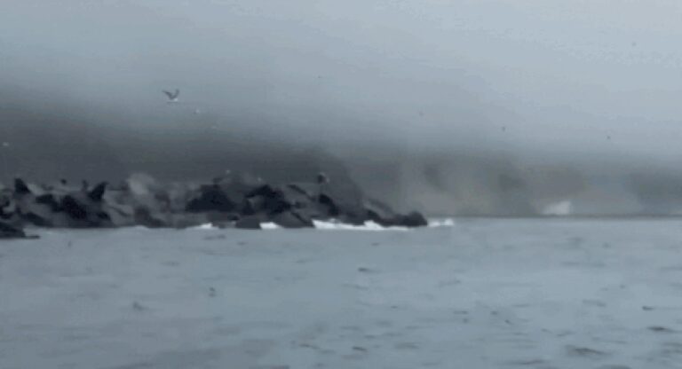 1753868338_photo.jpg