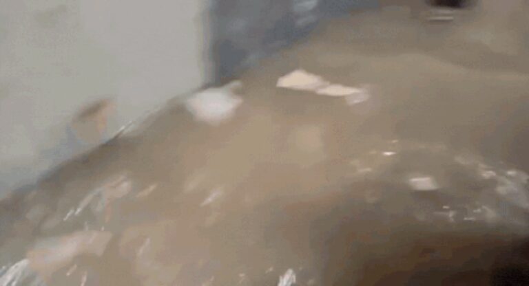 1754110992_photo.jpg