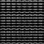 1754488424_photo.jpg