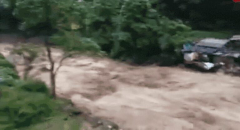 1759654593_photo.jpg