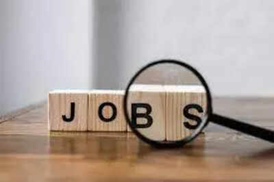 5-government-jobs-to-apply-for-this-week.jpg